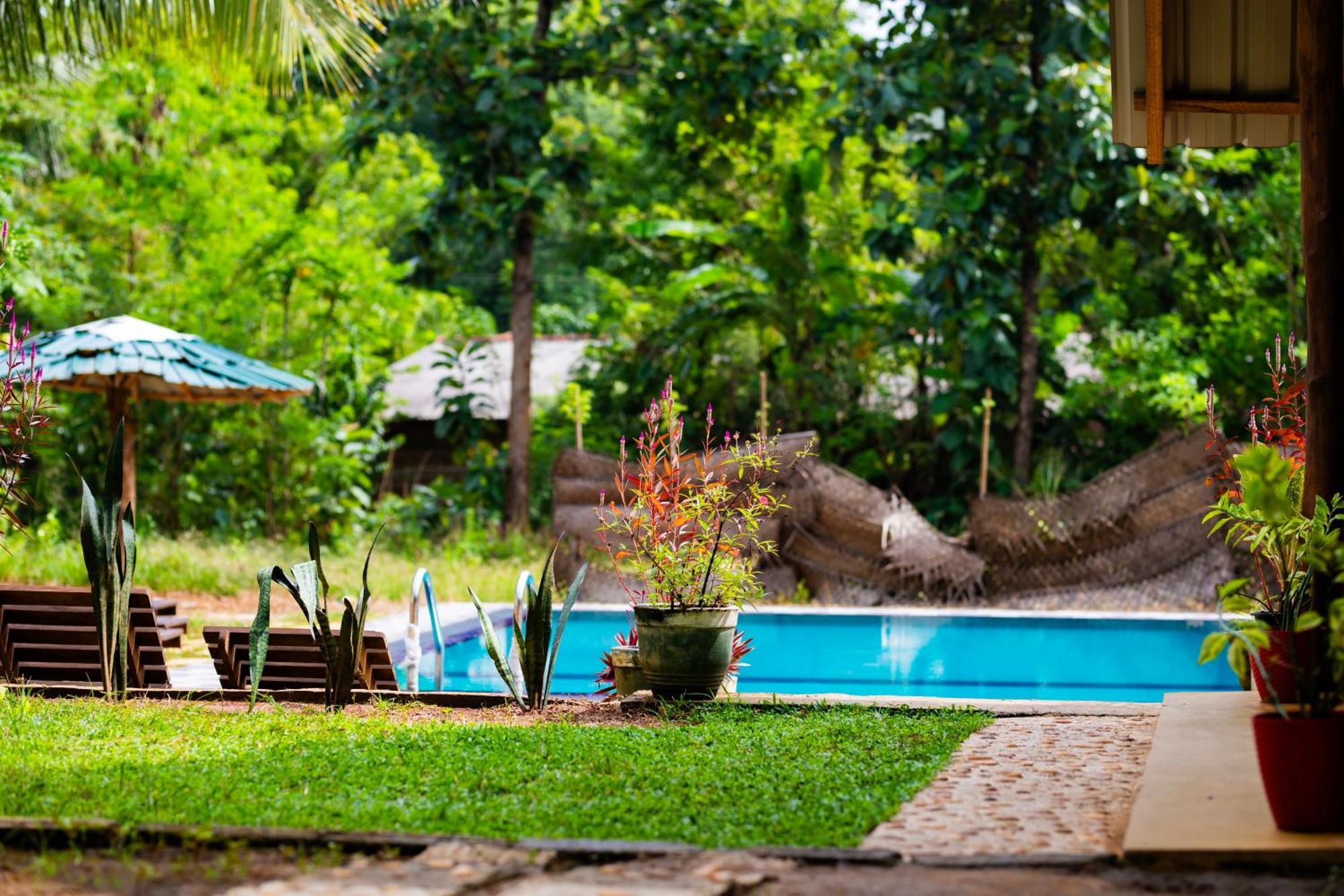 Maika Safari Lodge Удавалаве Экстерьер фото